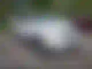 Vehicle Image- 2014 Kia Sorento