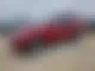 Vehicle Image- 2014 Kia Sorento