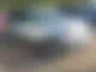 Vehicle Image- 2011 Kia Sorento