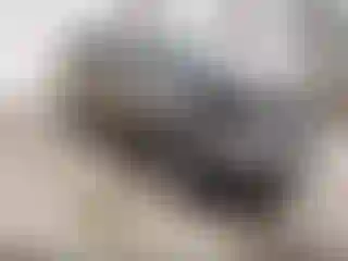 Vehicle Image- 2011 Kia Sorento