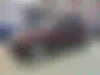 Vehicle Image- 2013 Kia Sorento