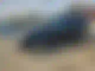 Vehicle Image- 2013 Kia Sorento