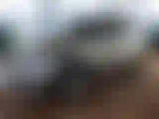 Vehicle Image- 2014 Kia Sorento