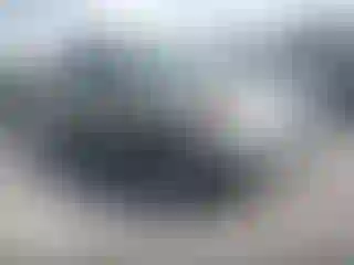 Vehicle Image- 2011 Kia Sorento