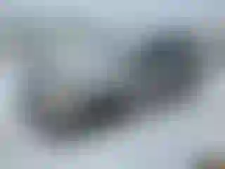 Vehicle Image- 2011 Kia Sorento