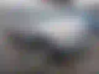 Vehicle Image- 2011 Kia Sorento