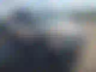 Vehicle Image- 2011 Kia Sorento