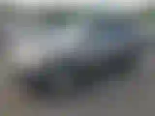 Vehicle Image- 2011 Kia Sorento