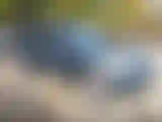 Vehicle Image- 2012 Kia Sorento