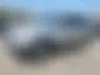 Vehicle Image- 2013 Kia Sorento