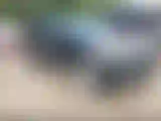 Vehicle Image- 2012 Kia Sorento