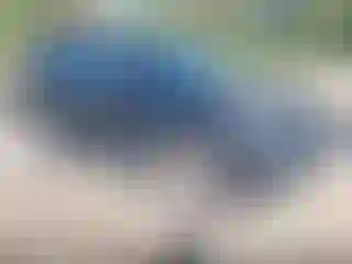 Vehicle Image- 2013 Kia Sorento