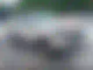 Vehicle Image- 2011 Kia Sorento