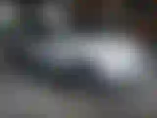 Vehicle Image- 2013 Kia Sorento