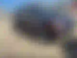 Vehicle Image- 2011 Kia Sorento