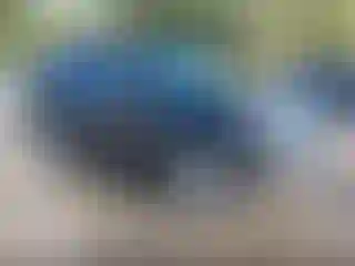 Vehicle Image- 2011 Kia Sorento