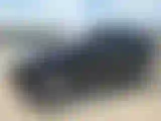 Vehicle Image- 2011 Kia Sorento