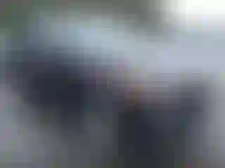 Vehicle Image- 2011 Kia Sorento