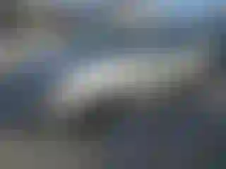 Vehicle Image- 2014 Kia Sorento