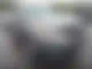 Vehicle Image- 2013 Kia Sorento