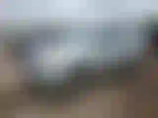 Vehicle Image- 2011 Kia Sorento