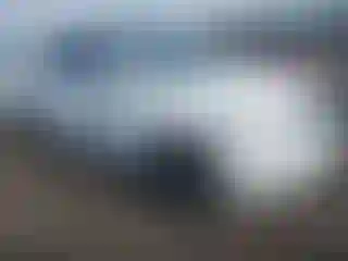 Vehicle Image- 2014 Kia Sorento
