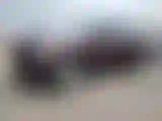 Vehicle Image- 2021 Kia Telluride