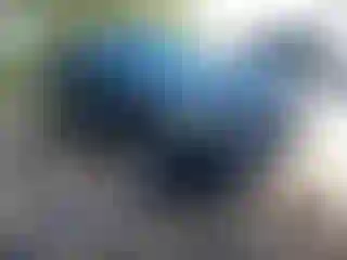 Vehicle Image- 2021 Kia Telluride