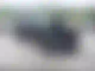 Vehicle Image- 2023 Kia Telluride