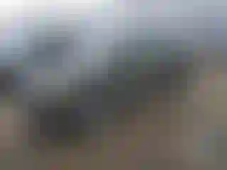 Vehicle Image- 2020 Kia Telluride