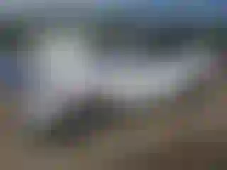 Vehicle Image- 2021 Kia Telluride