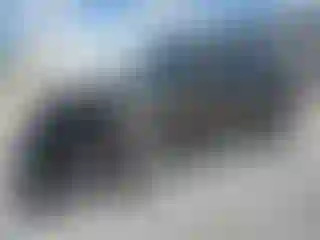 Vehicle Image- 2022 Kia Telluride