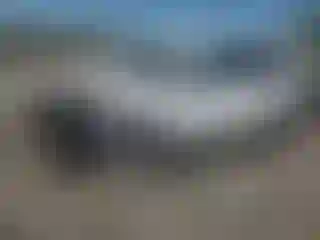 Vehicle Image- 2022 Kia Telluride