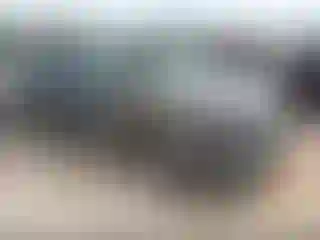 Vehicle Image- 2021 Kia Telluride