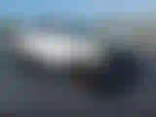 Vehicle Image- 2023 Kia Telluride