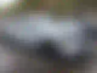 Vehicle Image- 2024 Kia Telluride