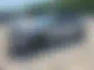 Vehicle Image- 2024 Kia Telluride