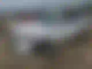Vehicle Image- 2025 Kia Telluride