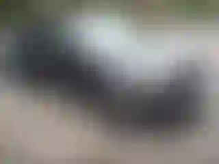 Vehicle Image- 2022 Kia Telluride
