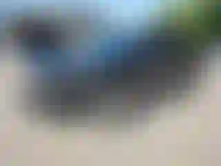 Vehicle Image- 2020 Kia Telluride