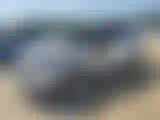 Vehicle Image- 2021 Kia Telluride