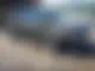 Vehicle Image- 2021 Kia Telluride
