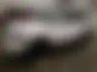 Vehicle Image- 2022 Kia Telluride