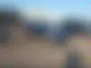 Vehicle Image- 2020 Kia Telluride