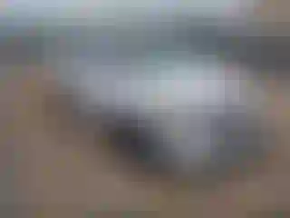 Vehicle Image- 2022 Kia Telluride