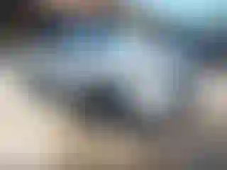 Vehicle Image- 2025 Kia Telluride