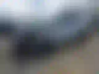 Vehicle Image- 2024 Kia Telluride