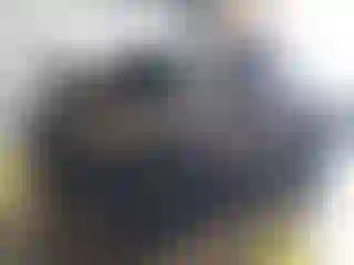 Vehicle Image- 2024 Kia Telluride