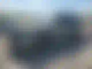 Vehicle Image- 2024 Kia Telluride