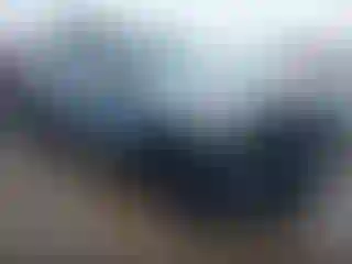 Vehicle Image- 2024 Kia Telluride